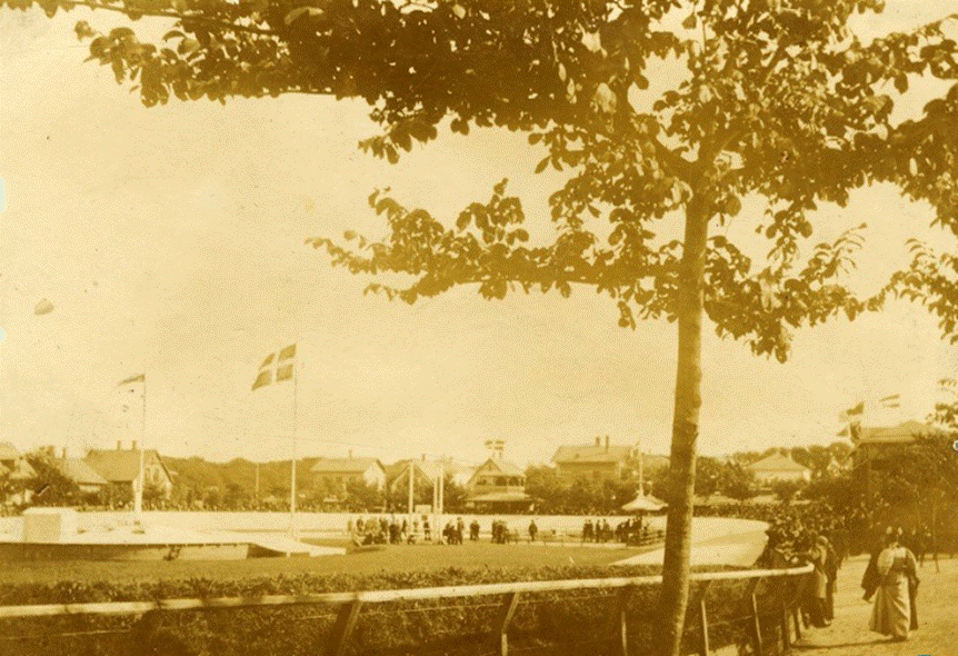Et billede, der indeholder udendørs, træ, himmel, foto
Automatisk genereret beskrivelse