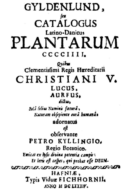 Et billede, der indeholder tekst, Font/skrifttype, kalligrafi, skrmbillede

AI-genereret indhold kan vre ukorrekt.